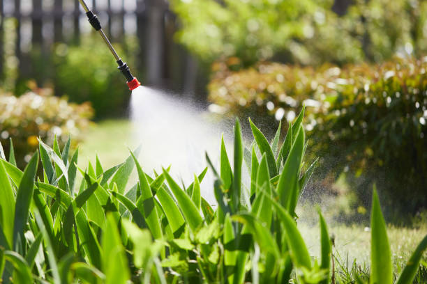 Tamper-Resistant Bait Stations for Rodents in Friars Point