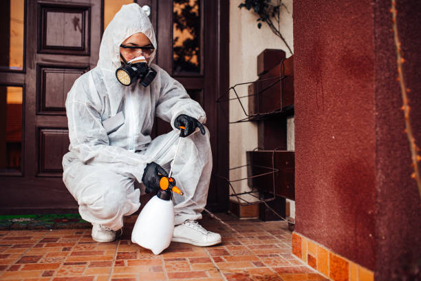 Attic and Crawl Space Rodent Treatment in Friars Point