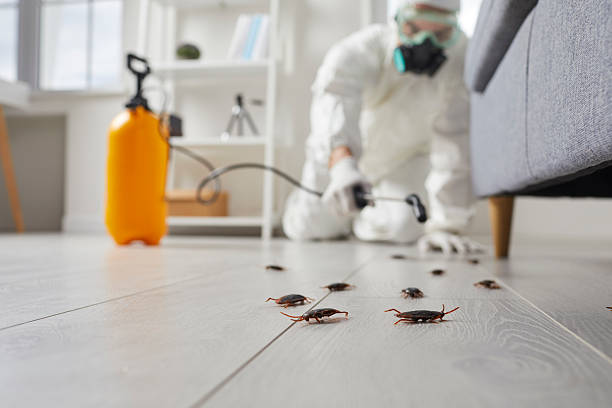 Commercial Rodent Management in Friars Point